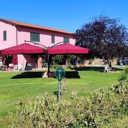 Agriturismo Calendiluna Luni ภายนอก รูปภาพ