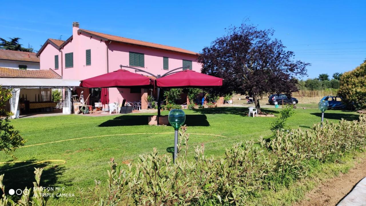 Agriturismo Calendiluna Luni ภายนอก รูปภาพ