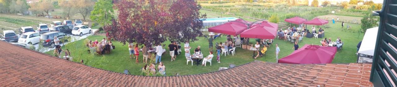 Agriturismo Calendiluna Luni ภายนอก รูปภาพ